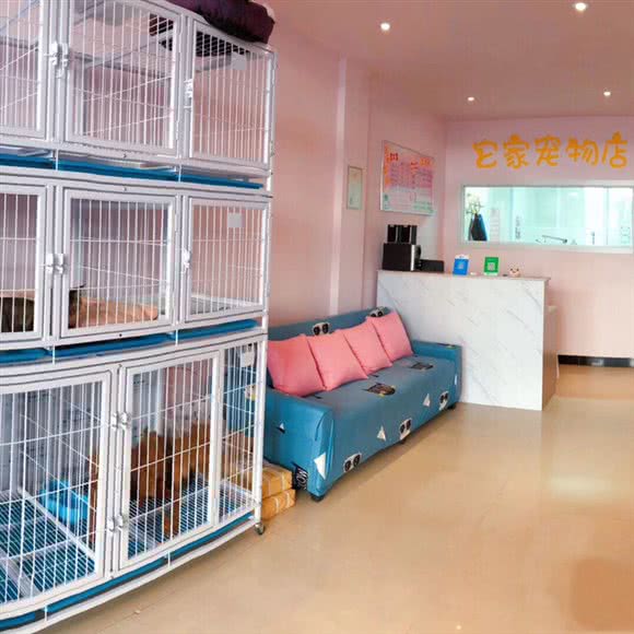 它家宠物店:赤峰市红山区双子座商圈附近