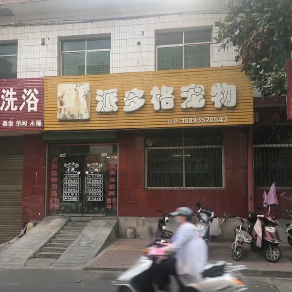 派多格宠物(紫金南路店):南阳市西峡县