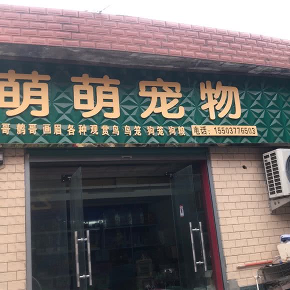 萌萌宠物:南阳市西峡县