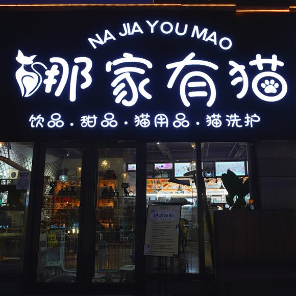 娜家有猫:南阳市镇平县