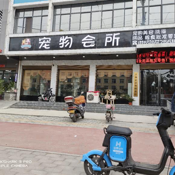 宠物会所:南阳市镇平县
