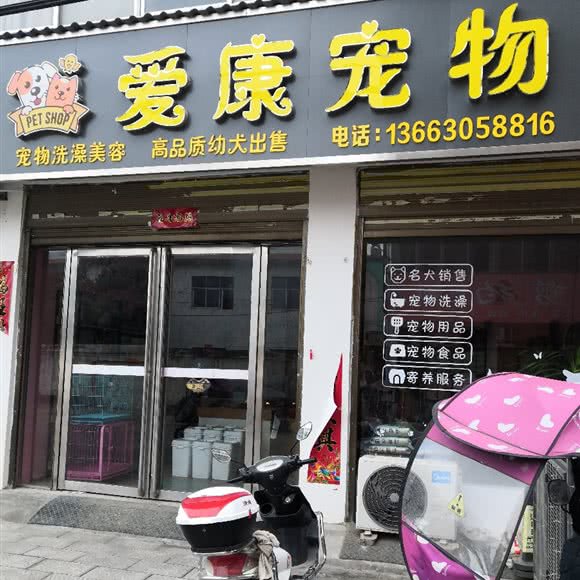 爱康宠物(新民路店):南阳市内乡县