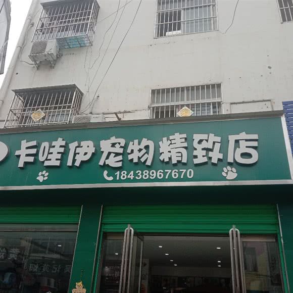 卡哇伊宠物精致店:南阳市内乡县