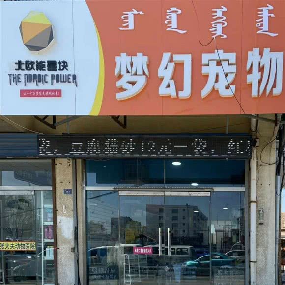 梦幻宠物狗:赤峰市红山区火花路附近