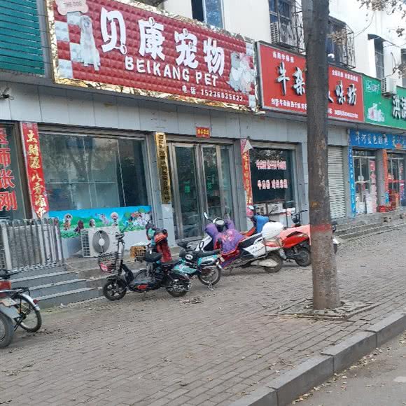 贝康狗狗:南阳市社旗县