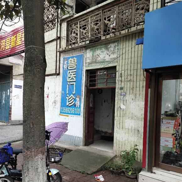 兽医门诊:南阳市唐河县