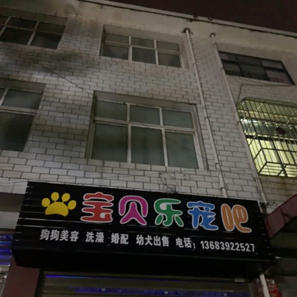 宝贝乐宠吧:南阳市邓州市