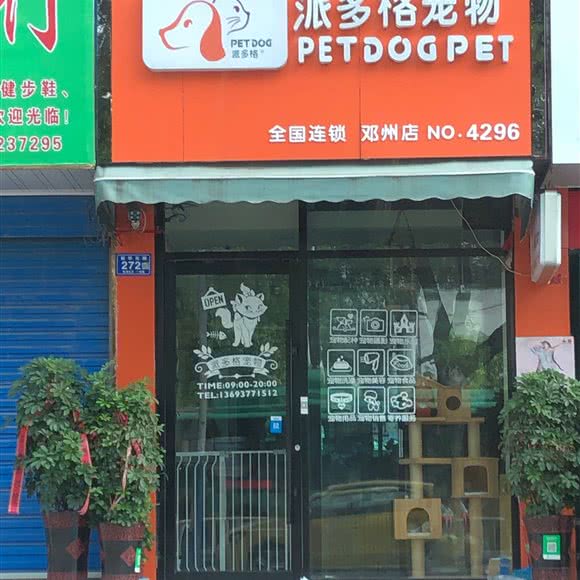 派多格宠物(邓州店):南阳市邓州市