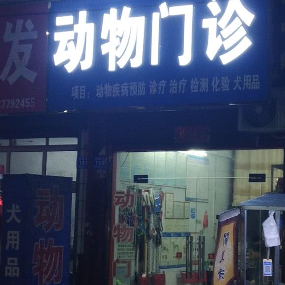 动物门诊:南阳市邓州市