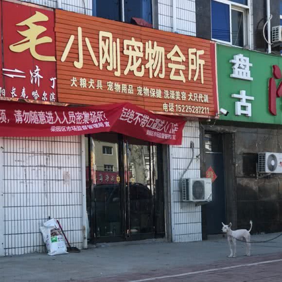 小刚宠物会所:商丘市梁园区