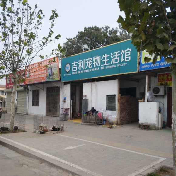 吉利宠物生活馆:商丘市梁园区