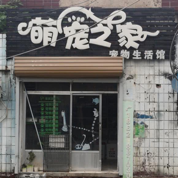萌宠之家:商丘市梁园区