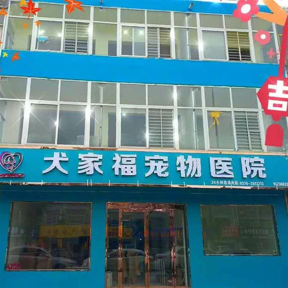 犬家福宠物医院:商丘市梁园区