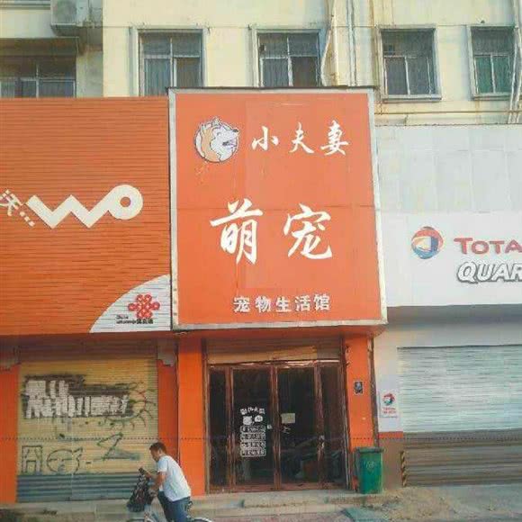 小夫妻萌宠:商丘市睢阳区