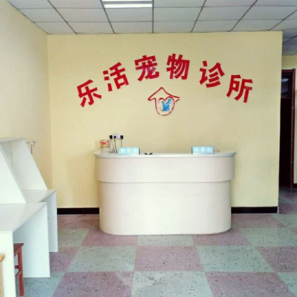 乐活宠物诊所:商丘市睢阳区