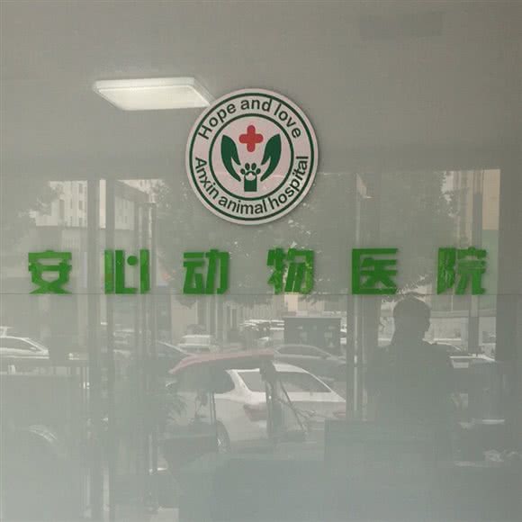 安心动物医院:商丘市睢阳区