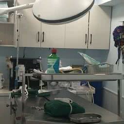 丫丫宠物诊所:商丘市睢阳区