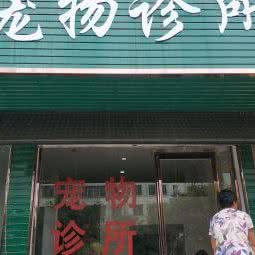 关爱宠物诊所:商丘市睢阳区