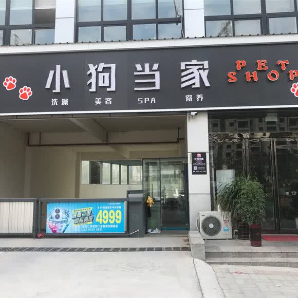 小狗当家:商丘市民权县