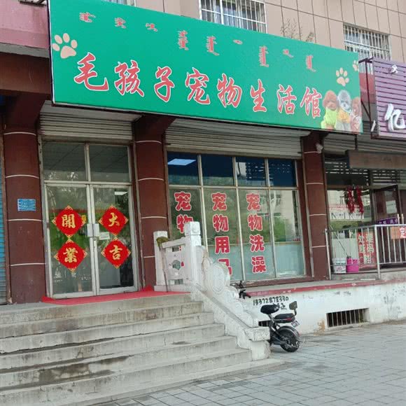 毛孩子宠物生活馆:赤峰市元宝山区宝山路附近