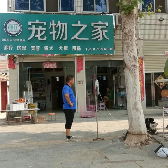 朗仕宠物之家:商丘市睢县