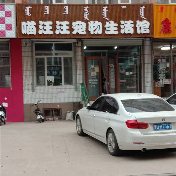 喵汪汪宠物生活馆:赤峰市元宝山区银河小区附近