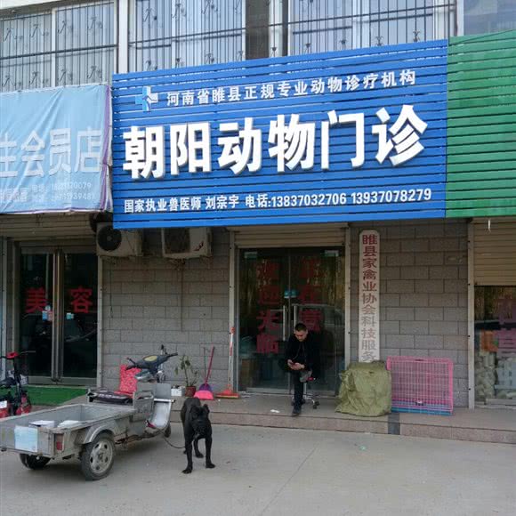 朝阳动物门诊:商丘市睢县