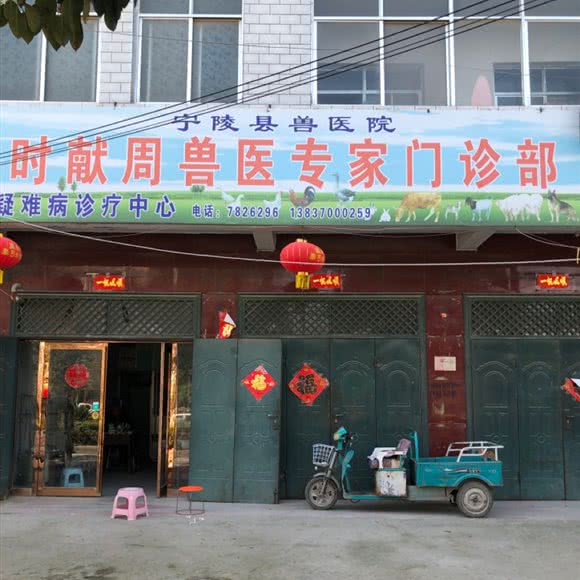 时献周兽医专家门诊部(宁陵县店):商丘市宁陵县