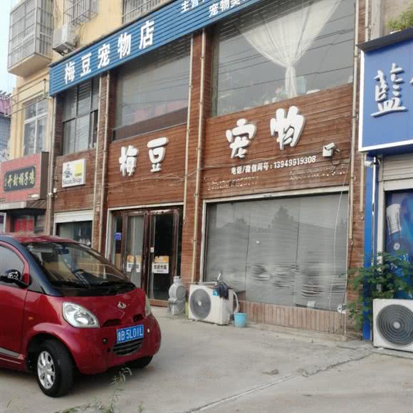 梅豆宠物店(虞城店):商丘市虞城县