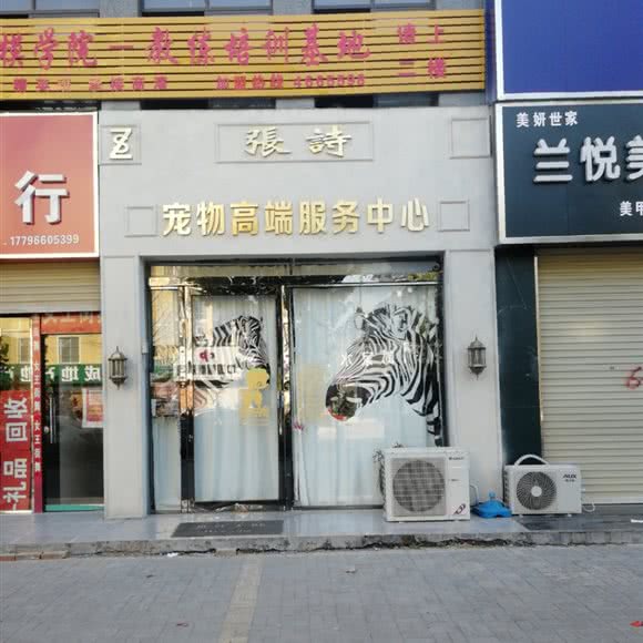 张诗宠物高端服务中心(虞城店):商丘市虞城县
