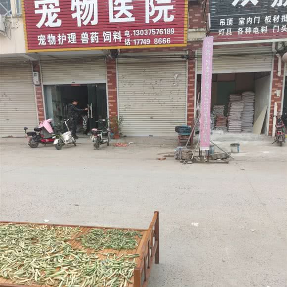 宠物医院:商丘市虞城县