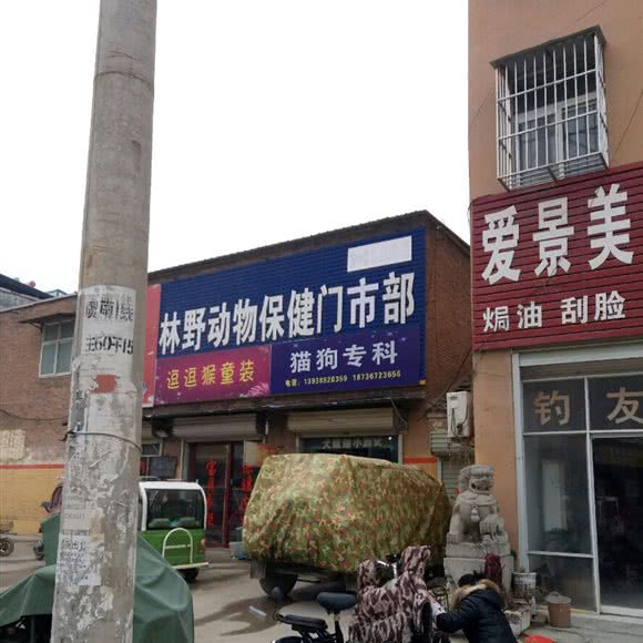林野动物保健门诊部:商丘市虞城县