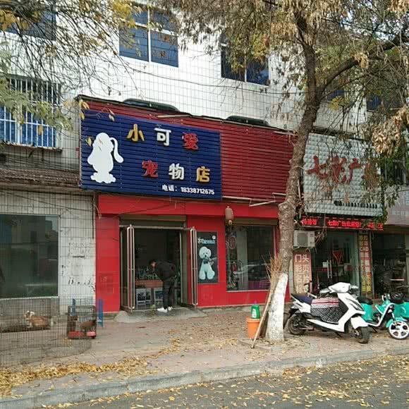 小可爱宠物店:商丘市夏邑县