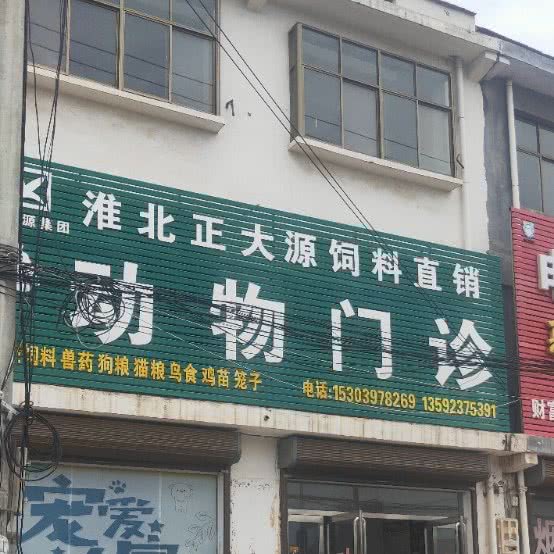 动物门诊:商丘市夏邑县