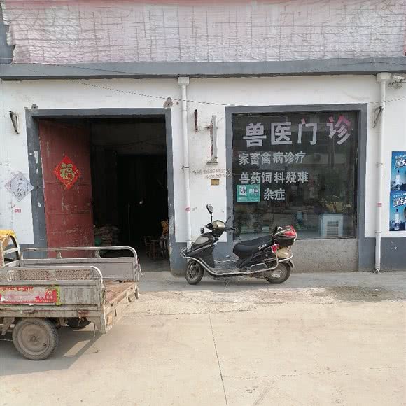 兽医门诊:商丘市夏邑县