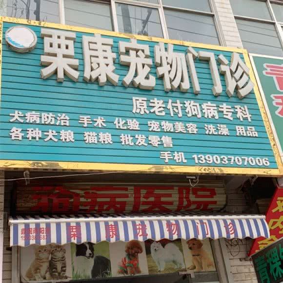 栗康宠物门诊:商丘市夏邑县
