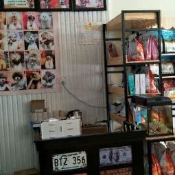 十犬十美宠物馆:商丘市永城市