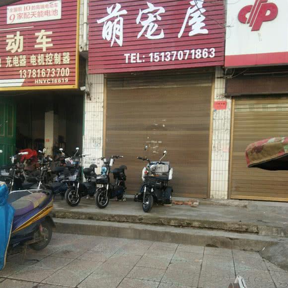 萌宠屋:商丘市永城市