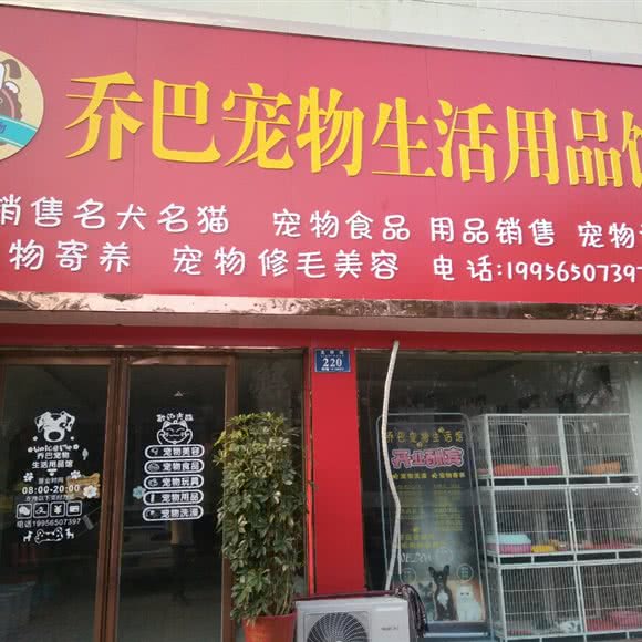 乔巴宠物生活用品馆:商丘市永城市