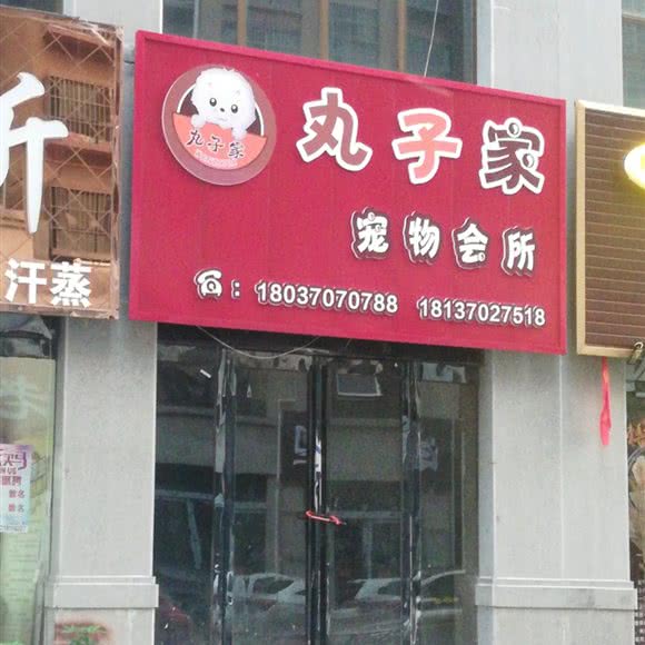 丸子家宠物会所:商丘市永城市