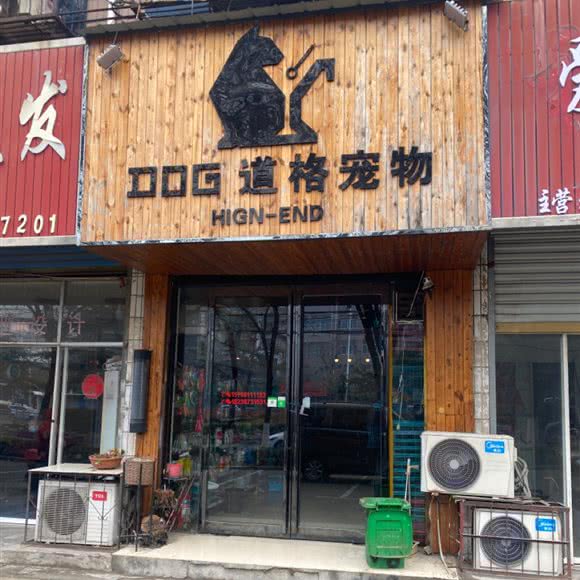 道格狗狗:商丘市永城市