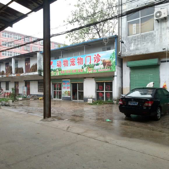 动物宠物门诊:商丘市永城市
