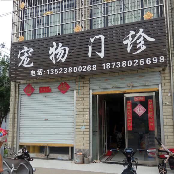 宠物门诊:商丘市永城市