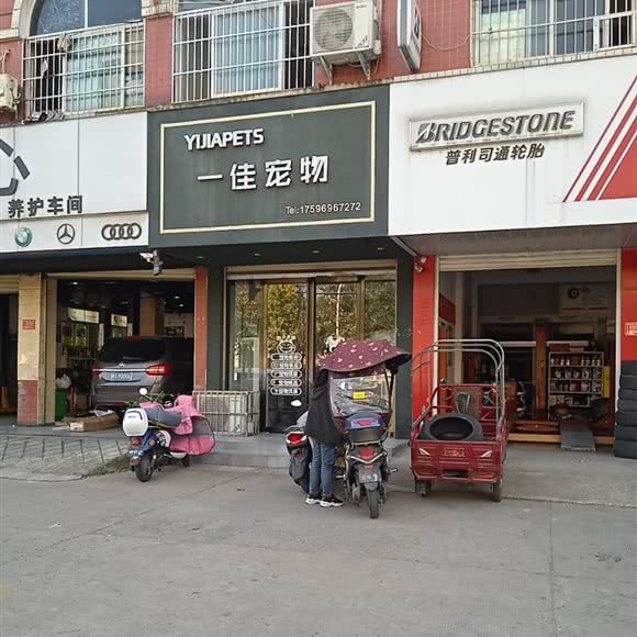 一佳宠物:信阳市浉河区