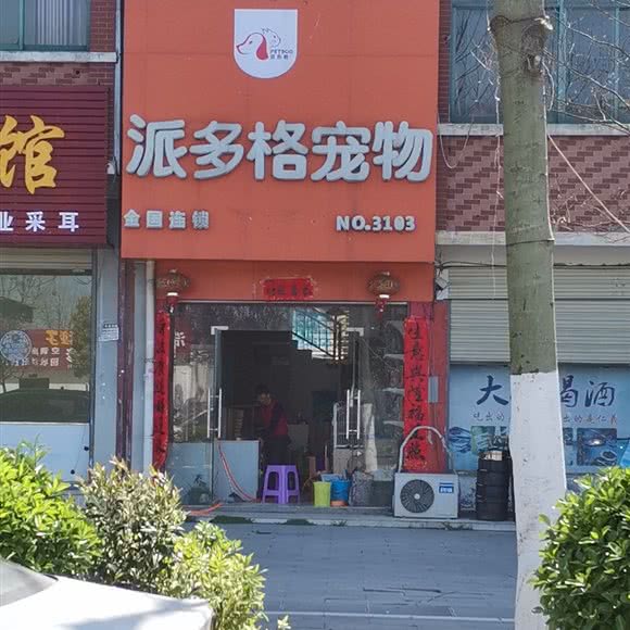 派多格宠物(NO.3103):信阳市罗山县