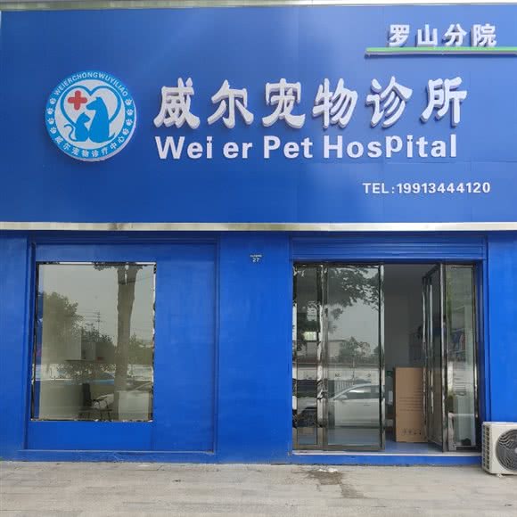 威尔宠物诊所:信阳市罗山县