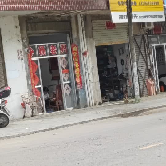 杨老妈宠物诊所:信阳市罗山县