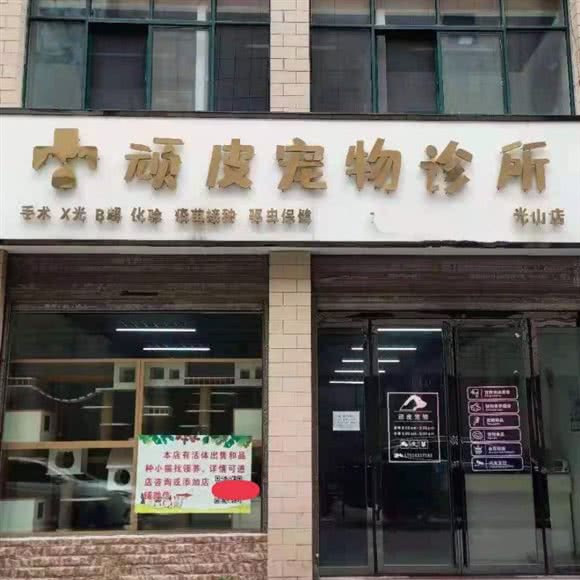 顽皮宠物诊所:信阳市光山县