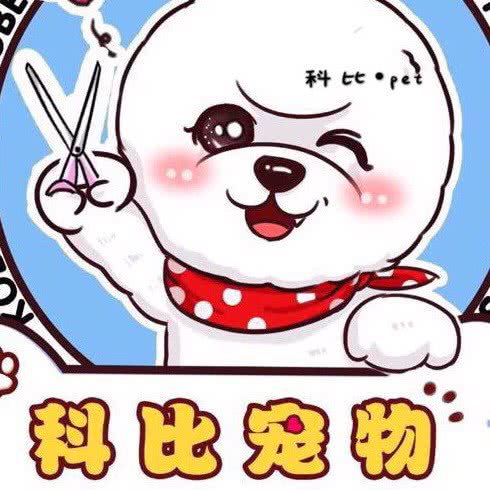 科比宠物:赤峰市松山区新城区众联广场附近