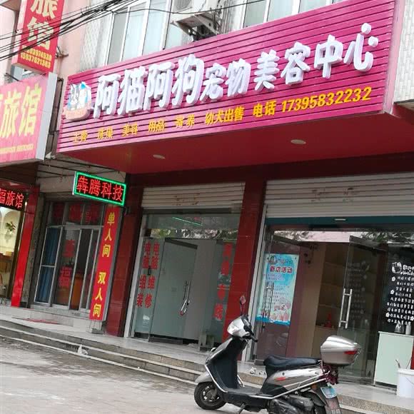 阿猫阿狗宠物美容中心:信阳市固始县